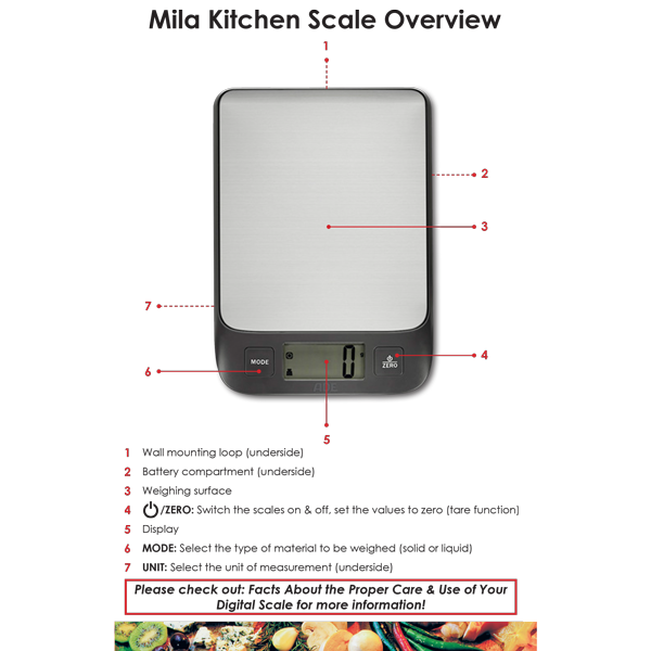 Stainless Steel Portion Scale (Mila) #2
